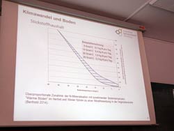 Beispielbetrachtungen zur N-Mineralisierung in Abhängigkeit von der Bodentemperatur.