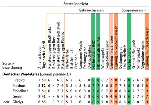 Beispiel (hier Lolium perenne) der Sorteneignung von Rasengräsern für Gebrauchsrasen oder Strapazierrasen 